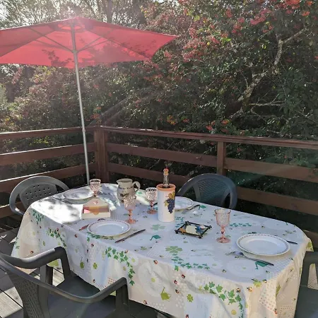 Avec Terrasse Et Jardin, Ideal Pour 4 Personnes, A - Fr-1-653-196 Daire