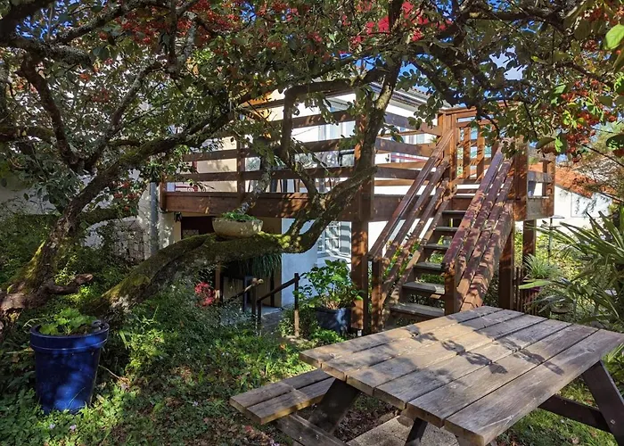 Avec Terrasse Et Jardin, Idéal Pour 4 Personnes, à - Fr-1-653-196 Appartamento *