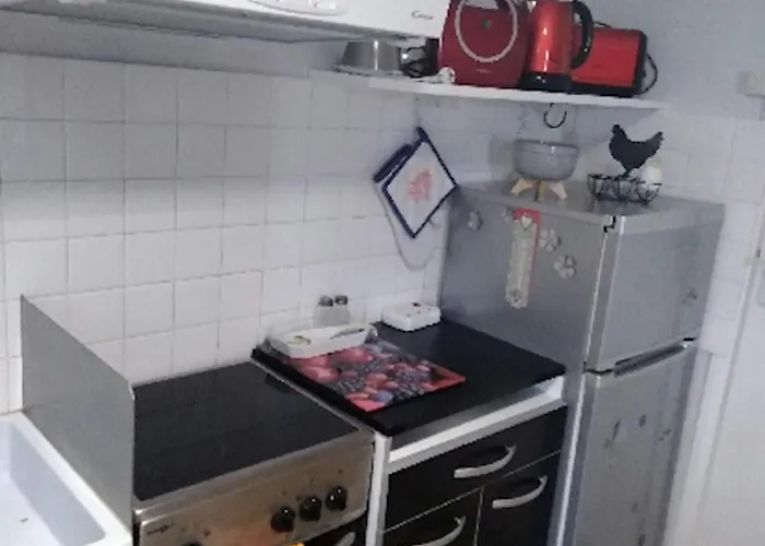 Avec Terrasse Et Jardin, Idéal Pour 4 Personnes, à - Fr-1-653-196 Appartamento *