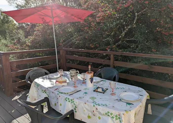 Avec Terrasse Et Jardin, Idéal Pour 4 Personnes, à - Fr-1-653-196 Appartamento