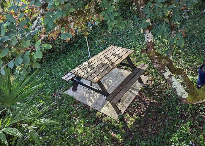 Appartamento Avec Terrasse Et Jardin, Idéal Pour 4 Personnes, à - Fr-1-653-196 Barbezieux-Saint-Hilaire